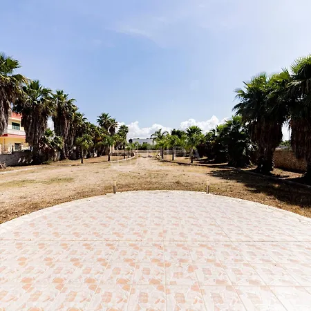 Le Palme Apartment